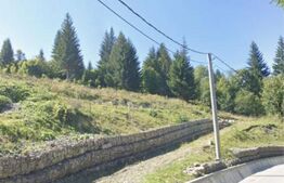 Teren intravilan, 5.000 mp, zona Câmpulung Moldovenesc