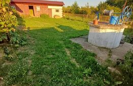 Casa de vanzare, 60 mp, teren, 4.717 mp, comuna Zvoriștea