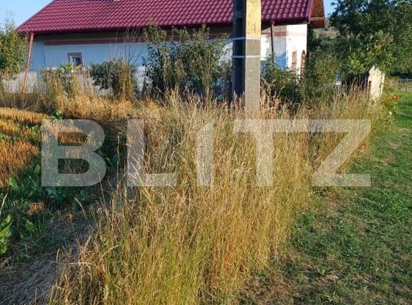 Casa de vânzare 3 camere Nord Est - 202186CV | BLITZ Suceava | Poza4