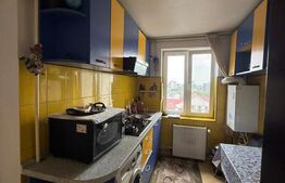 Apartament 2 camere, 45 mp, zona George Enescu