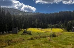 Teren intravilan, 5.869 mp, zona Carlibaba
