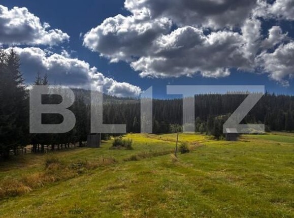 Teren de vânzare Carlibaba Noua - 202554TV | BLITZ Suceava | Poza3
