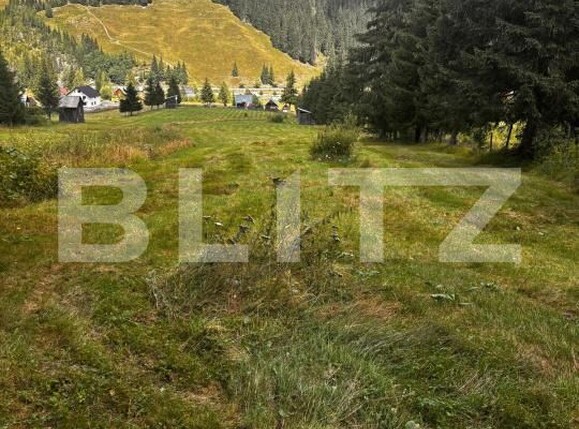 Teren de vânzare Carlibaba Noua - 202554TV | BLITZ Suceava | Poza2