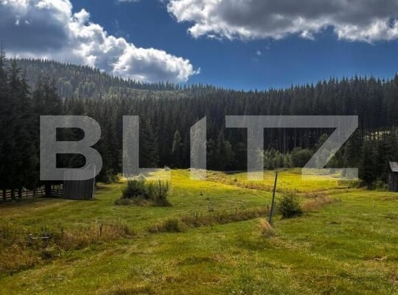 Teren de vânzare Carlibaba Noua - 202554TV | BLITZ Suceava | Poza4