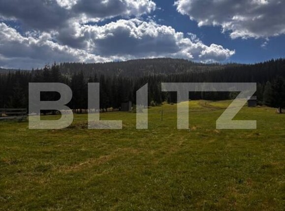 Teren de vânzare Carlibaba Noua - 202554TV | BLITZ Suceava | Poza1