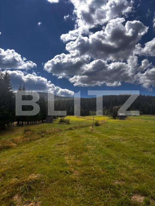 Teren de vânzare Carlibaba Noua - 202554TV | BLITZ Suceava | Poza3