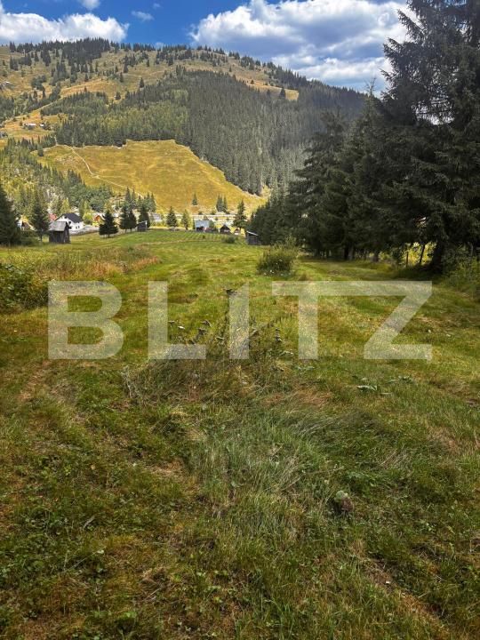 Teren de vânzare Carlibaba Noua - 202554TV | BLITZ Suceava | Poza2
