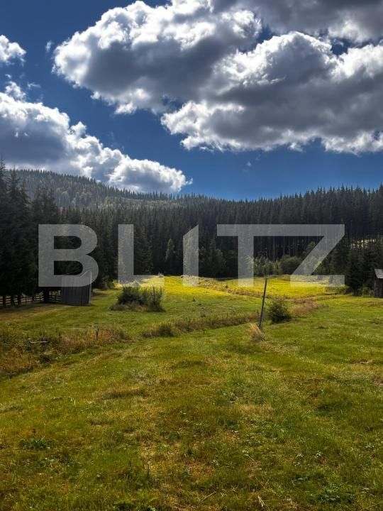 Teren de vânzare Carlibaba Noua - 202554TV | BLITZ Suceava | Poza4