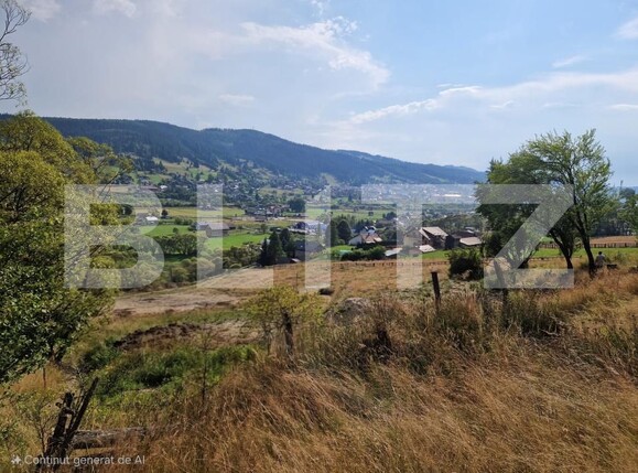 Teren de vânzare Vatra Dornei - 202557TV | BLITZ Suceava | Poza3