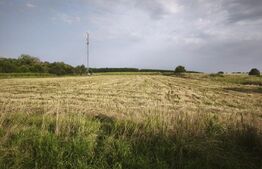 Teren intravilan, 5000mp, 57ml deschidere la drum, Negostina, Siret