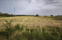 Teren intravilan, 5000mp, 57ml deschidere la drum, Negostina, Siret