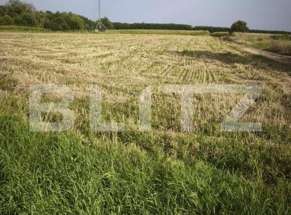 Teren de vânzare Negostina - 202590TV | BLITZ Suceava | Poza3