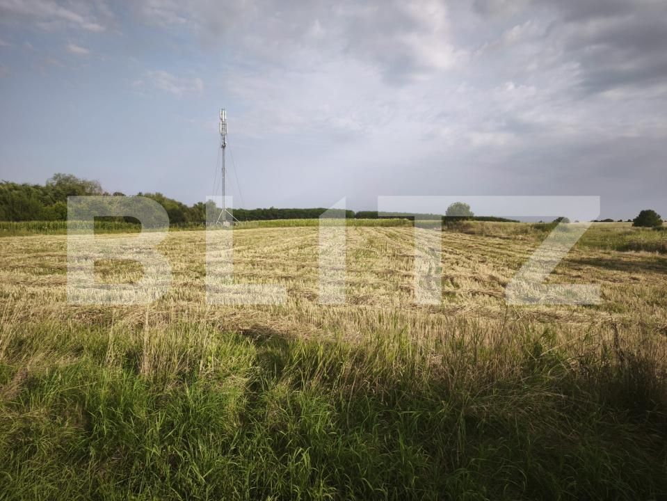 Teren de vânzare Negostina - 202590TV | BLITZ Suceava | Poza2