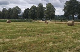 Teren extravilan 5070mp, 40ml deschidere, Galanesti, Radauti