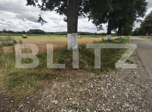 Teren de vânzare Galanesti - 202618TV | BLITZ Suceava | Poza3
