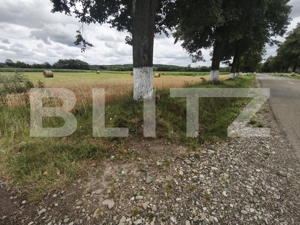 Teren de vânzare Galanesti - 202618TV | BLITZ Suceava | Poza3