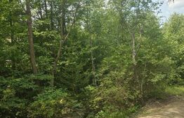 Teren extravilan, 15621 mp, zona Șandru-Campulung Moldovenesc