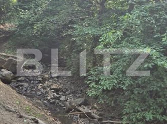 Teren de vânzare Campulung Moldovenesc - 202838TV | BLITZ Suceava | Poza6