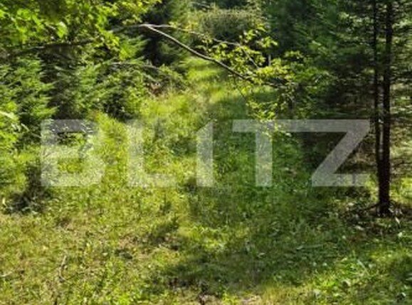 Teren de vânzare Campulung Moldovenesc - 202838TV | BLITZ Suceava | Poza2