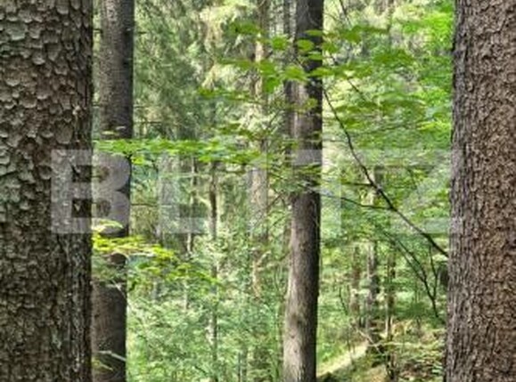 Teren de vânzare Campulung Moldovenesc - 202838TV | BLITZ Suceava | Poza5