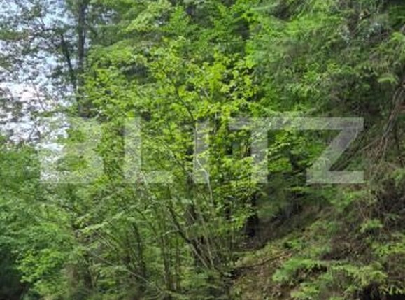Teren de vânzare Campulung Moldovenesc - 202838TV | BLITZ Suceava | Poza4