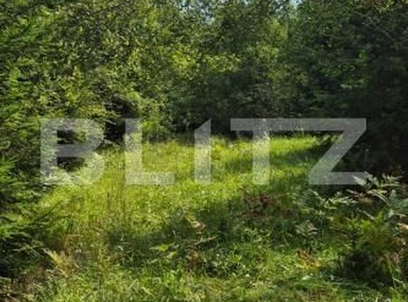 Teren de vânzare Campulung Moldovenesc - 202838TV | BLITZ Suceava | Poza1