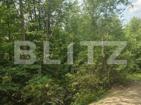 Teren de vânzare Campulung Moldovenesc - 202838TV | BLITZ Suceava | Poza7