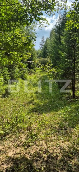 Teren de vânzare Campulung Moldovenesc - 202838TV | BLITZ Suceava | Poza2