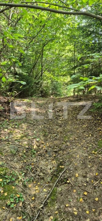 Teren de vânzare Campulung Moldovenesc - 202838TV | BLITZ Suceava | Poza3