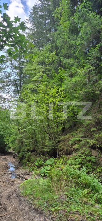 Teren de vânzare Campulung Moldovenesc - 202838TV | BLITZ Suceava | Poza4