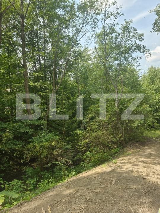 Teren de vânzare Campulung Moldovenesc - 202838TV | BLITZ Suceava | Poza7