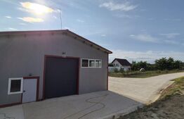 Hala depozitare de inchiriat, 340 mp, zona Mitocasi