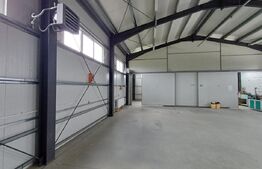 Hala depozitare de inchiriat, 340 mp, zona Mitocasi