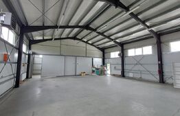 Hala depozitare de inchiriat, 340 mp, zona Mitocasi