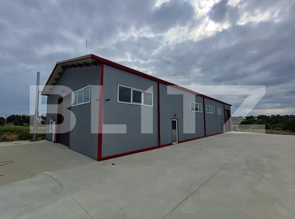 Spațiu industrial de închiriat Mitocasi - 202906SII | BLITZ Suceava | Poza1