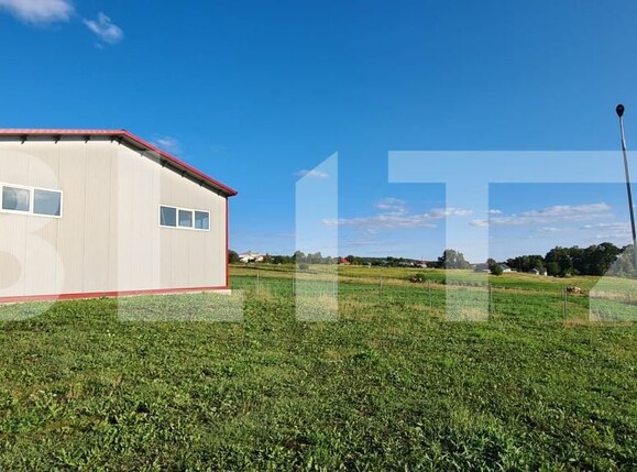 Spațiu industrial de închiriat Mitocasi - 202906SII | BLITZ Suceava | Poza11