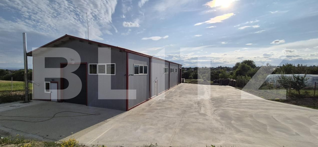Spațiu industrial de închiriat Mitocasi - 202906SII | BLITZ Suceava | Poza21