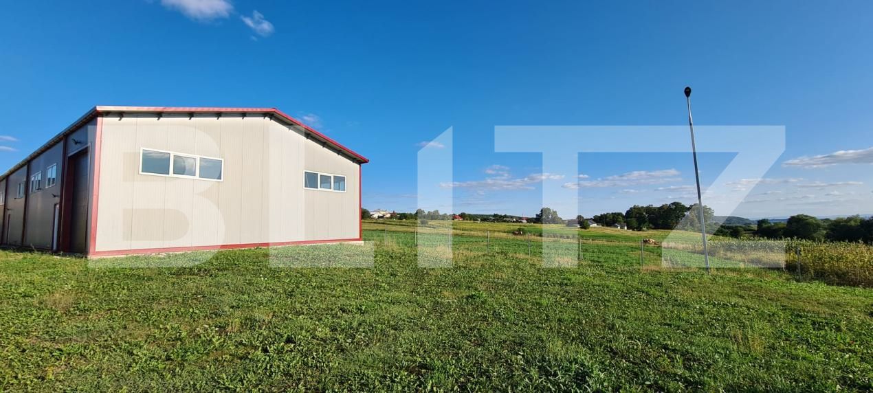Spațiu industrial de închiriat Mitocasi - 202906SII | BLITZ Suceava | Poza11