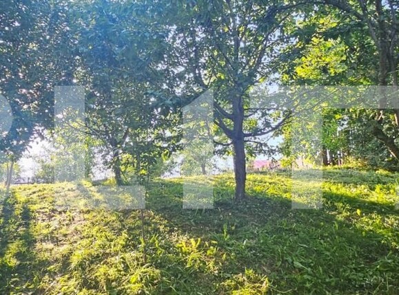 Casa de vânzare 2 camere Vest - 202908CV | BLITZ Suceava | Poza6