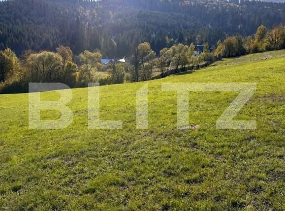 Casa de vânzare 3 camere Exterior Vest - 203119CV | BLITZ Suceava | Poza2