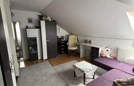 Apartament 2 Camere Tip Mansardă | Burdujeni