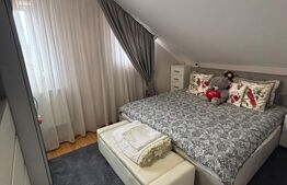 Apartament 2 Camere Tip Mansardă | Burdujeni