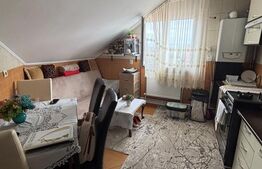 Apartament 2 Camere Tip Mansardă | Burdujeni