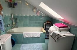Apartament 2 Camere Tip Mansardă | Burdujeni