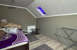 Casă 300 mp + Anexe, Foișor Sticlă și Teren 36 Ari | Hănțești, Suceava