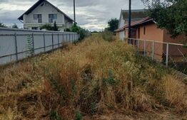 Teren de vanzare intravilan, 6 parcele, zona Salcea