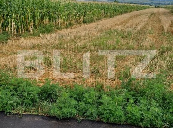 Teren de vânzare Salcea - 203265TV | BLITZ Suceava | Poza3