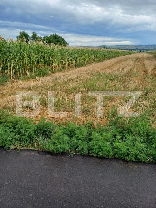 Teren de vânzare Salcea - 203265TV | BLITZ Suceava | Poza3