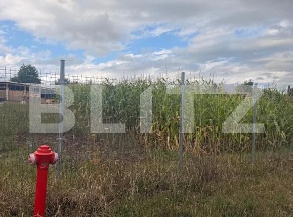 Teren de vânzare Periferie - 203321TV | BLITZ Suceava | Poza2