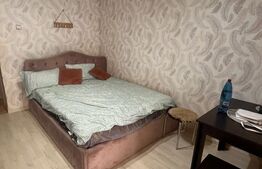 Garsoniera de vanzare, 25 mp, zona Burdujeni